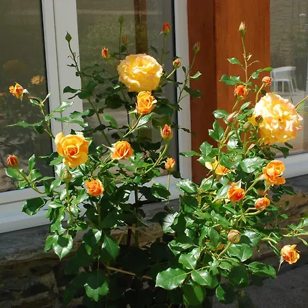 Victor Hugo 3* Pontorson