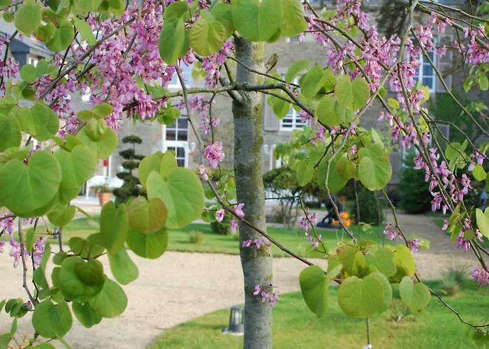 オテル ヴィクトル ユーゴ 3*