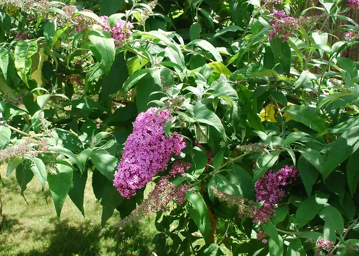 オテル ヴィクトル ユーゴ 3*