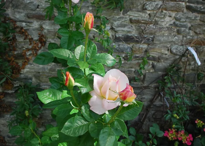 オテル ヴィクトル ユーゴ ホテル 3*